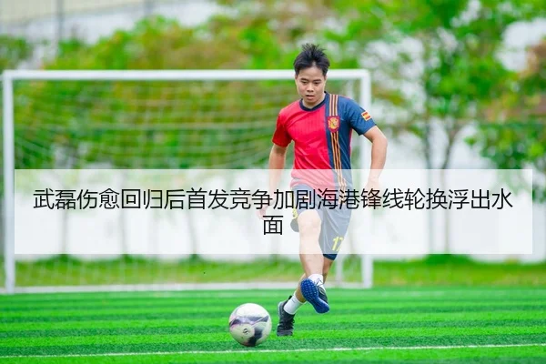 武磊伤愈回归后首发竞争加剧海港锋线轮换浮出水面 - MilanSports